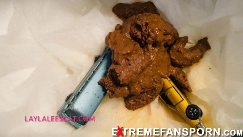 Layla Lee – Pooping on your toys new extreme porn videos