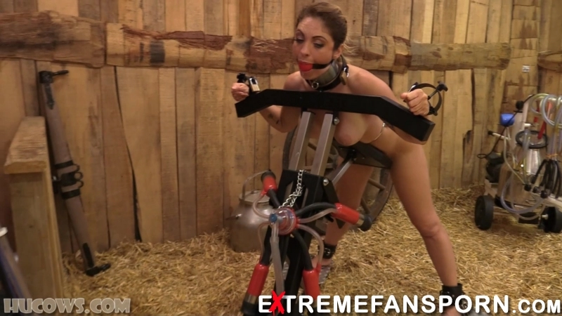 Alba Zevon - Milking Stocks