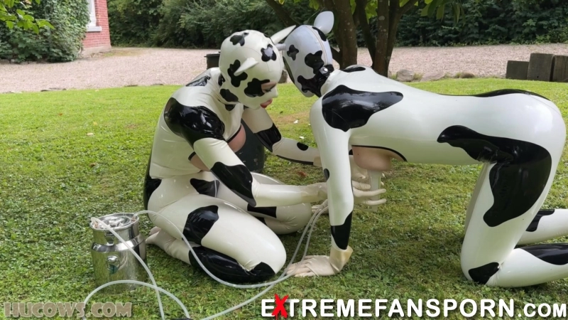 HuCows - Anc1lla And Miss Fetilicious - Latex Hucows Outdoors