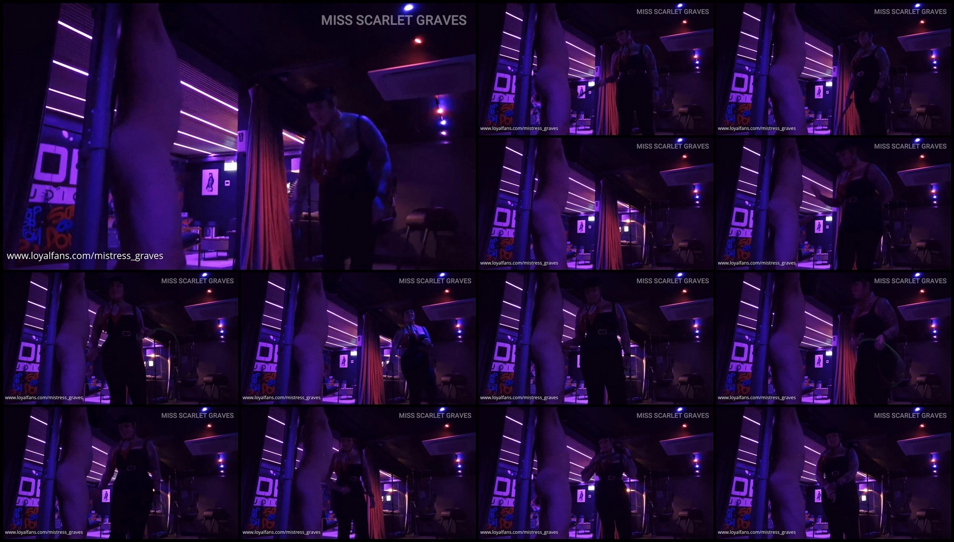 Miss Scarlet Graves - A Fly On The Wall - CBT With Mutt