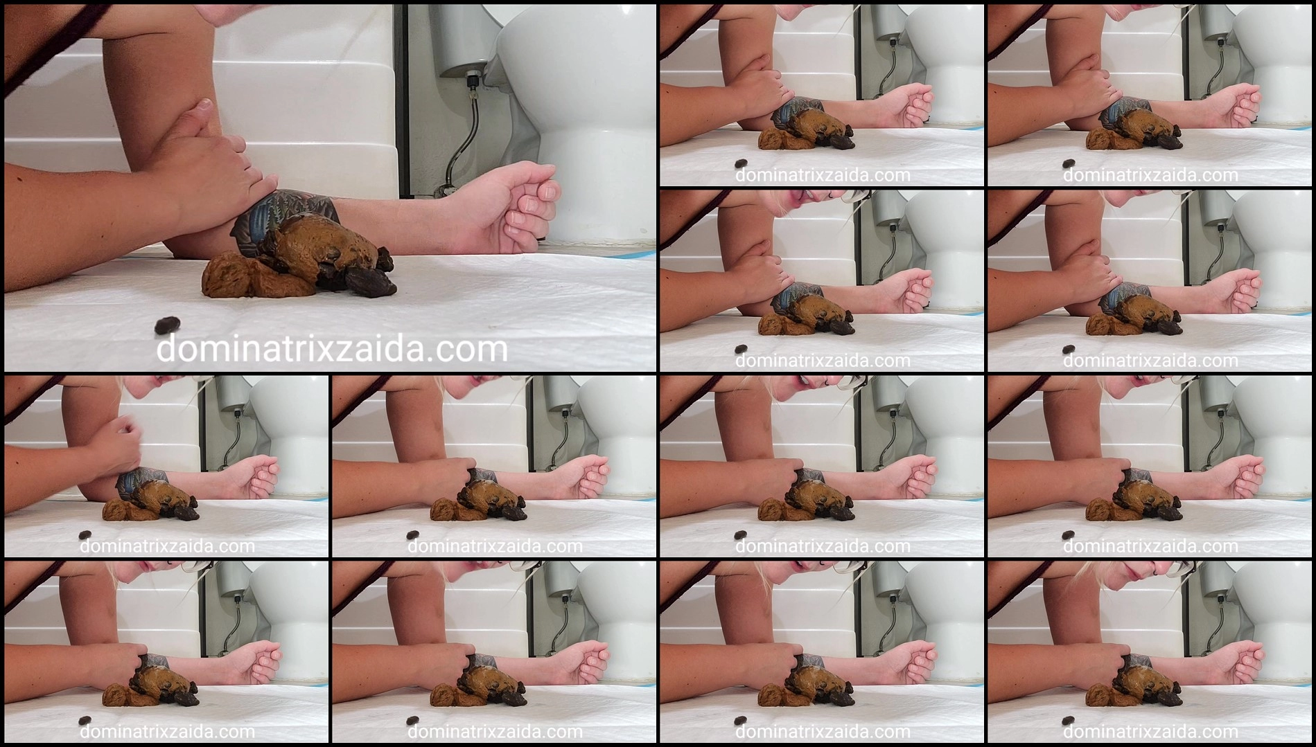 Mistress Zaida – You're just a fucking toilet new extreme porn videos