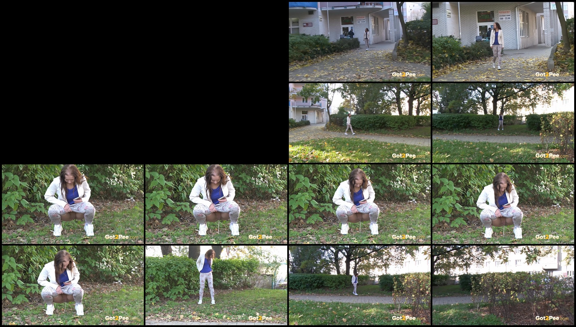 City park with handy bushes